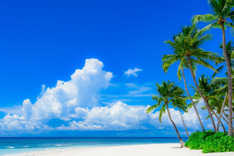 A beach in Barbados