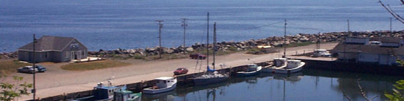 Ballentyne'sCove2_banner