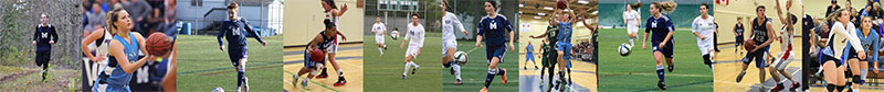 Banner of Varsity Players 2017