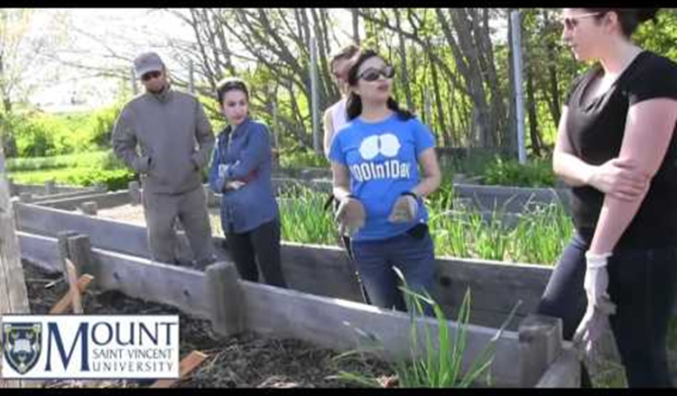 Community Garden2