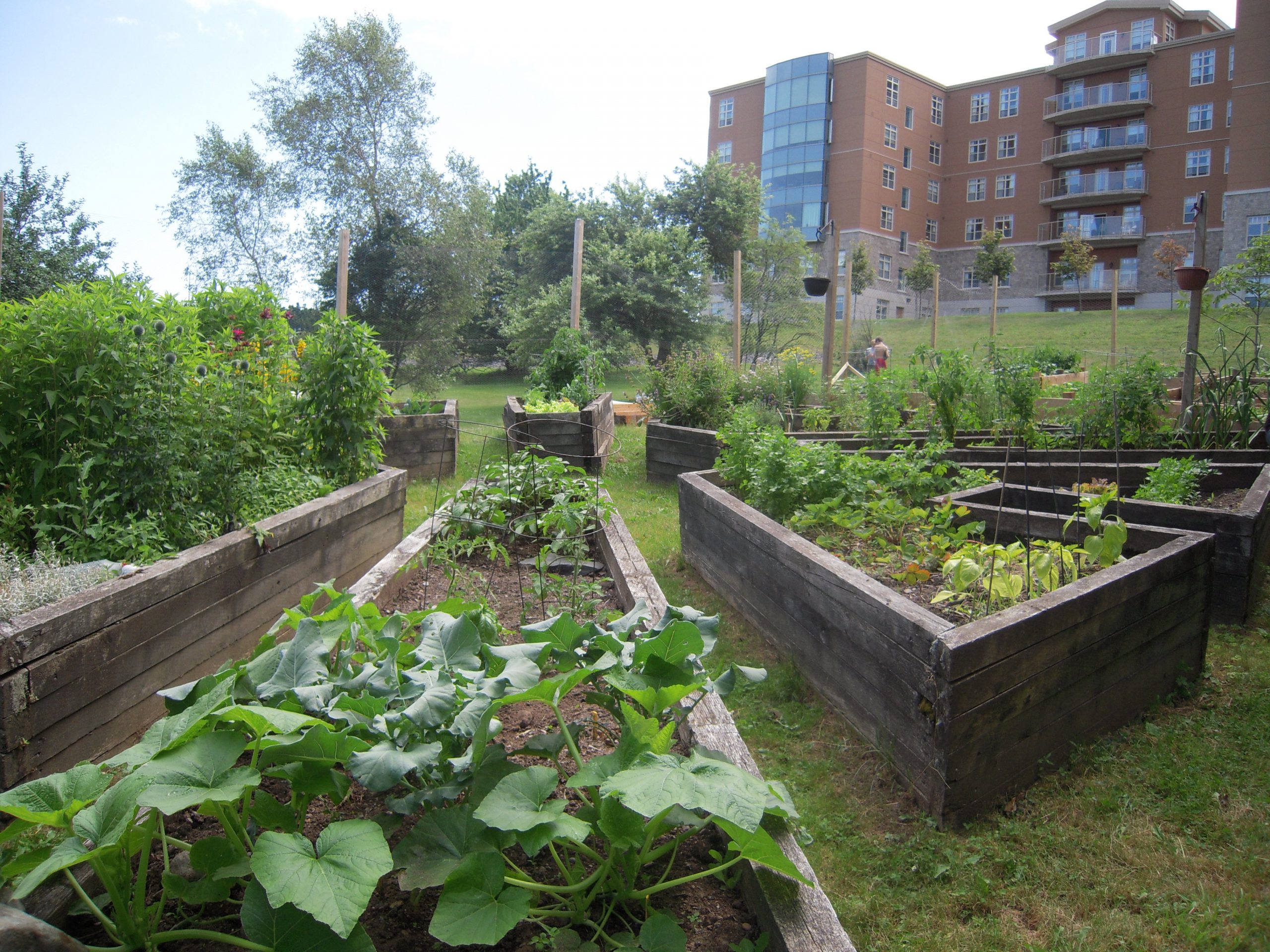 Community Garden Inside (large)