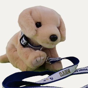 MSVU Pet Collar Leash