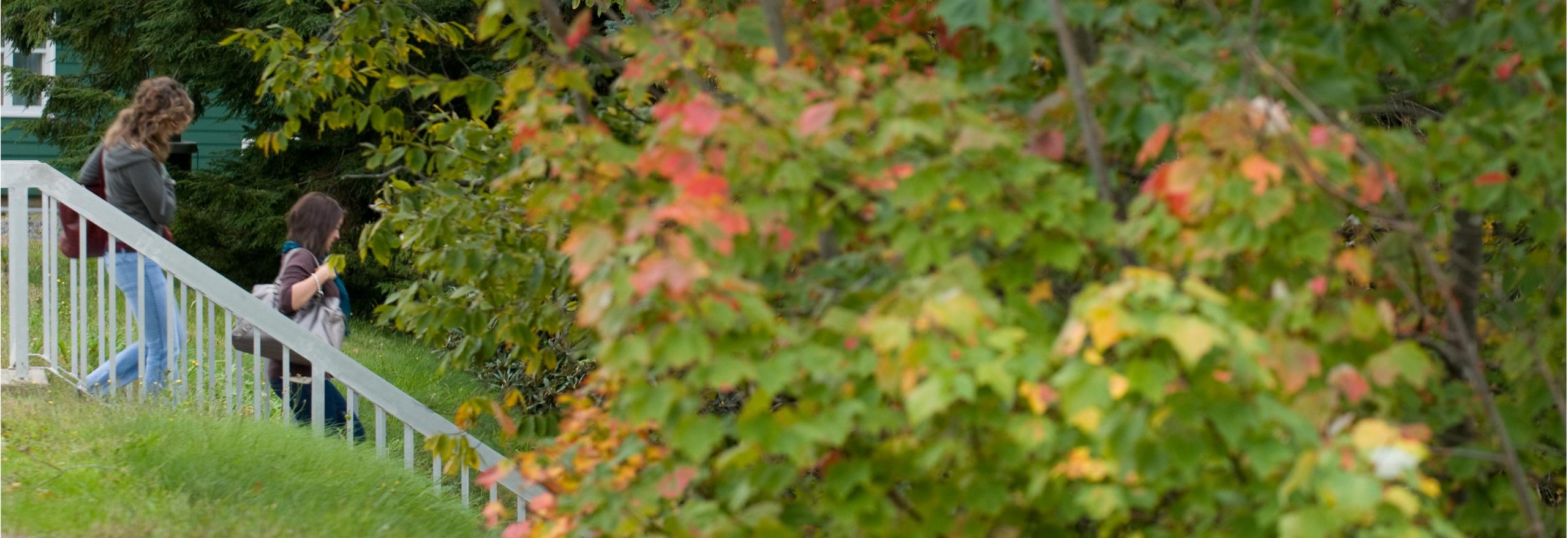 Greenery and students cropped