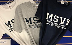 MSVU Men's T Shirt Bundle 3