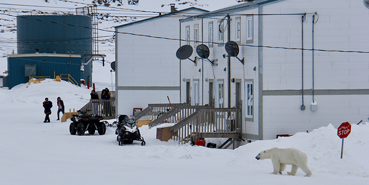 Education Nanavut photo display (by Heidi Janes)