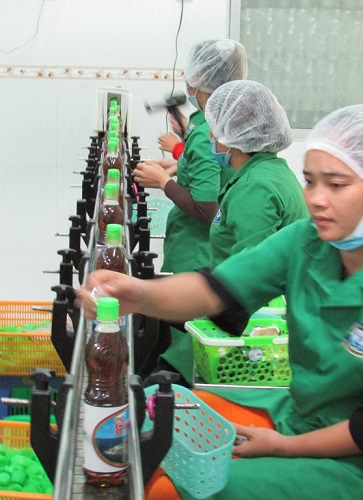 Making fish sauce