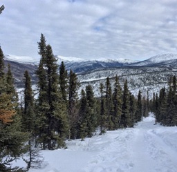 Mountains near Fairbanks