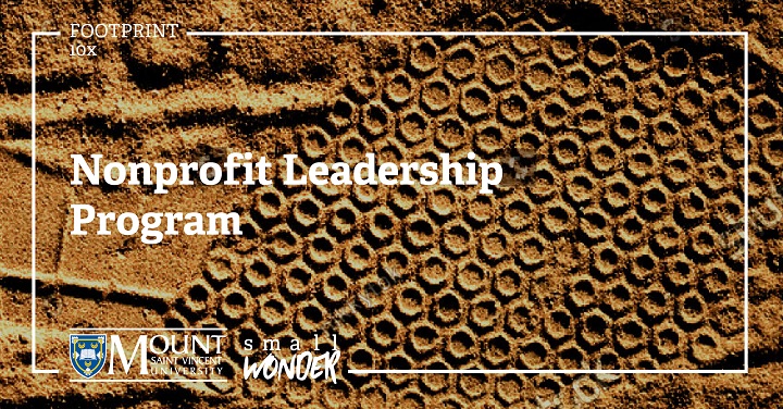 Nonprofit leadership - footprint -resized