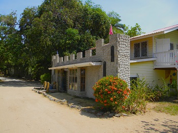 Sandcastle library Roatan for website