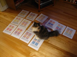 HQD TextPortraits on the floor with Rose the cat