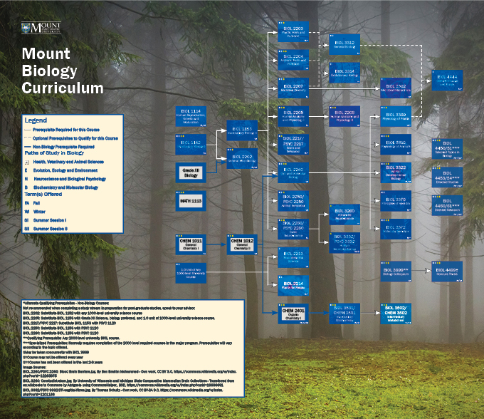 Web Flow Chart Final