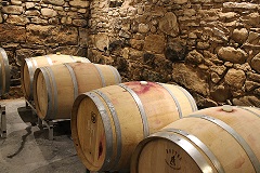 Sustainable business tour. Wine barrels. 2015