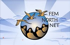 femnorthnetlogo2