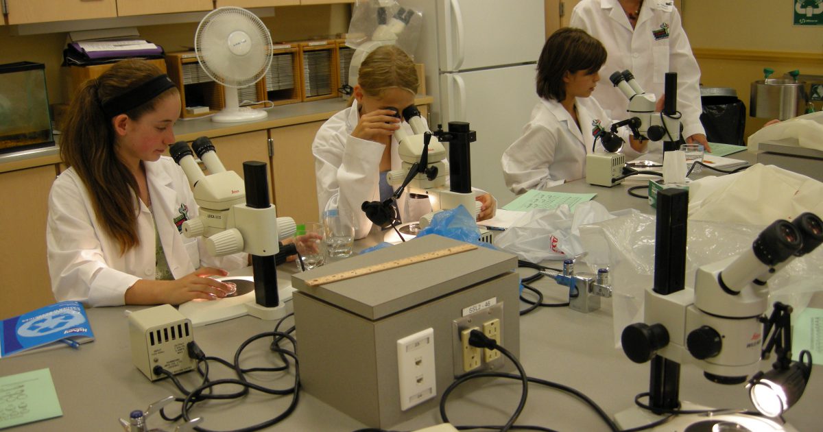 Computer Lab At Msvu Research – lab safety – Mount Saint Vincent University