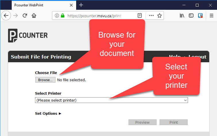 WebPrint document and printer selection screenshot