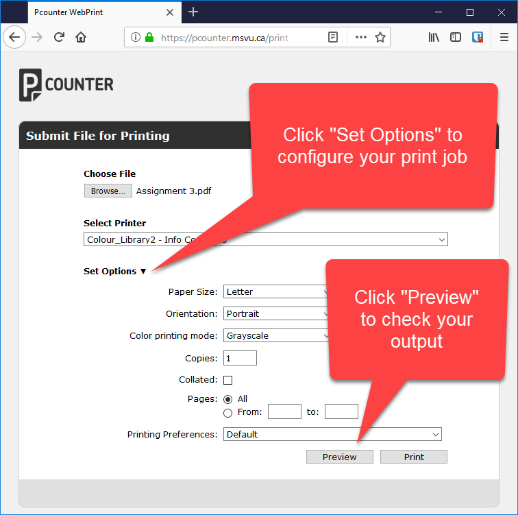 WebPrint options screenshot