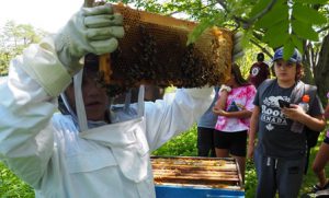 Joel Francis - Facilitating an activity about amu (the bee)