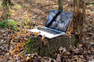 Laptop on a Tree Trunk