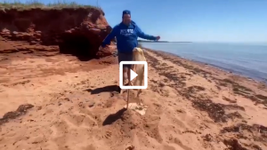 man on a beach