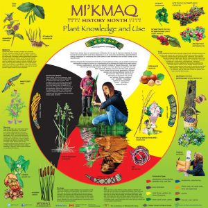 Mi'Kmaw History Month 2020 poster