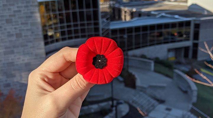 A Poppy held outside of the McCain Centre