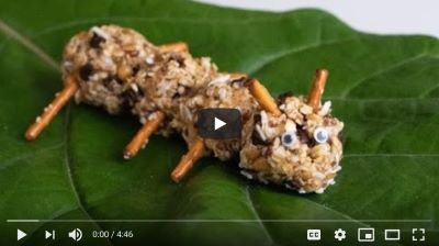 Banana Lentil Oat Energy Bites video thumbnail