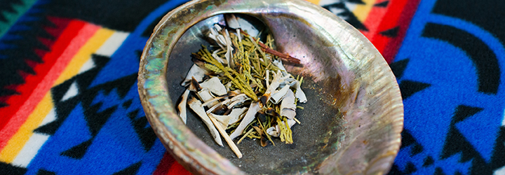 A close up of several plants used for smudging ceremonies
