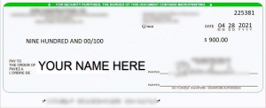 Sample Fake Cheque Image