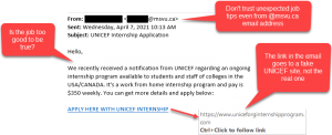 UNICEF Internship Job Scam Email