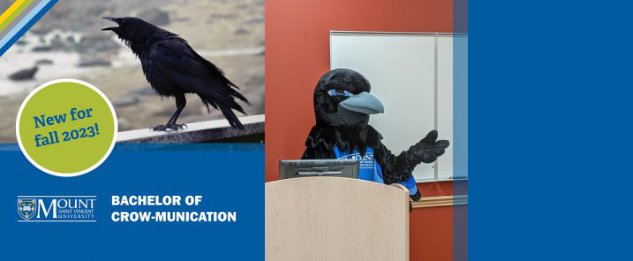 Bachelor of crow-munications, with a crow and the Mascot, Captain Crow