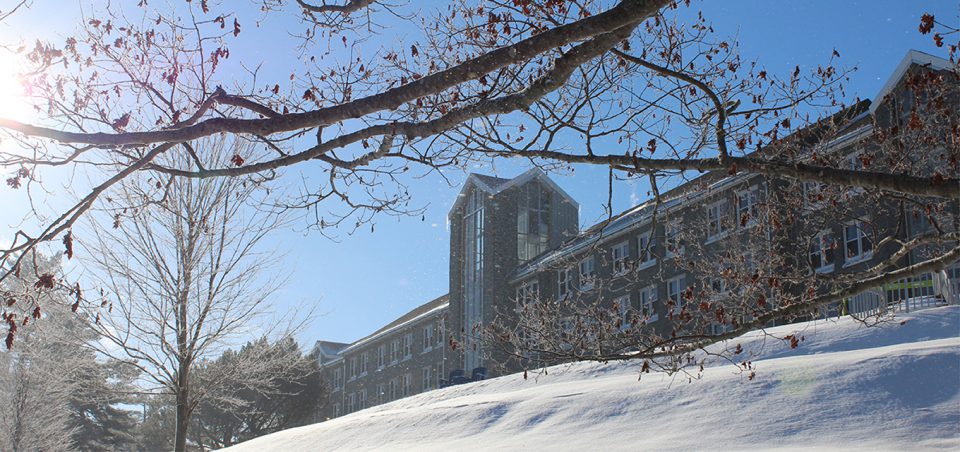 Photo of Evaristus with snow on the hill and snowflakes falling from the sky, with a large branch across the top of the image.