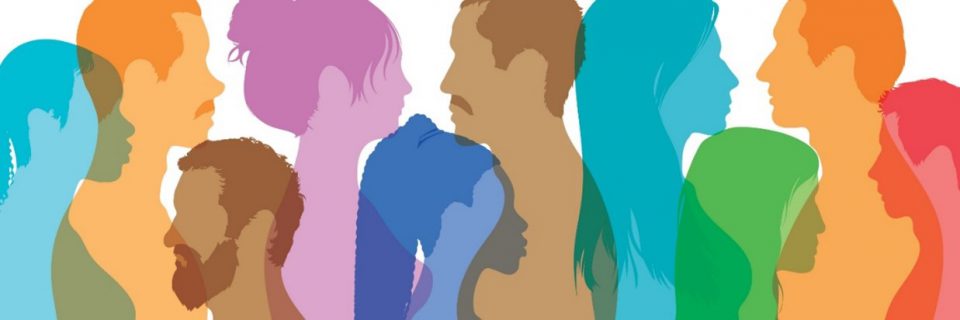 silhouettes of diverse people with word bubbles above their heads. Each person and word bubble is a different colour. On the right is a gray box with blue text that reads ‘EDIA Hub’ with the MSVU EDIA wordmark