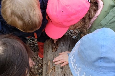 A group of children playing with a log at the Child Study Centre