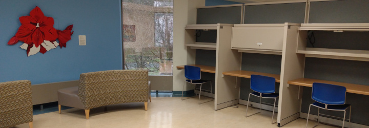 Sofa, study cubicles, and window in the MSVU Library.