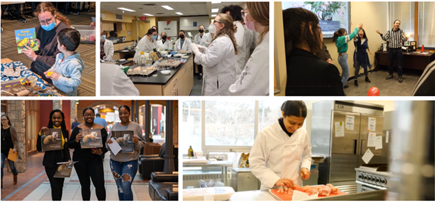 Various students involved in experiential teaching and learning - through Childcare, Research, Nutrition Labs, and Social Enterprise