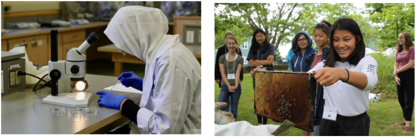 A WISEaltantic attendee using a microscope and another attendee holding a hive frame