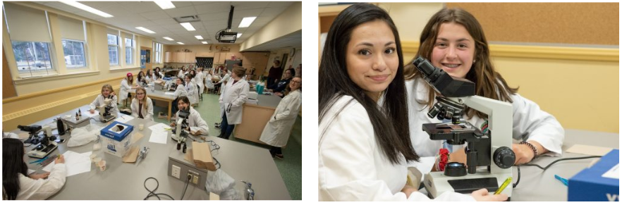 Various participants working at science labs at the WISEatlantic retreat