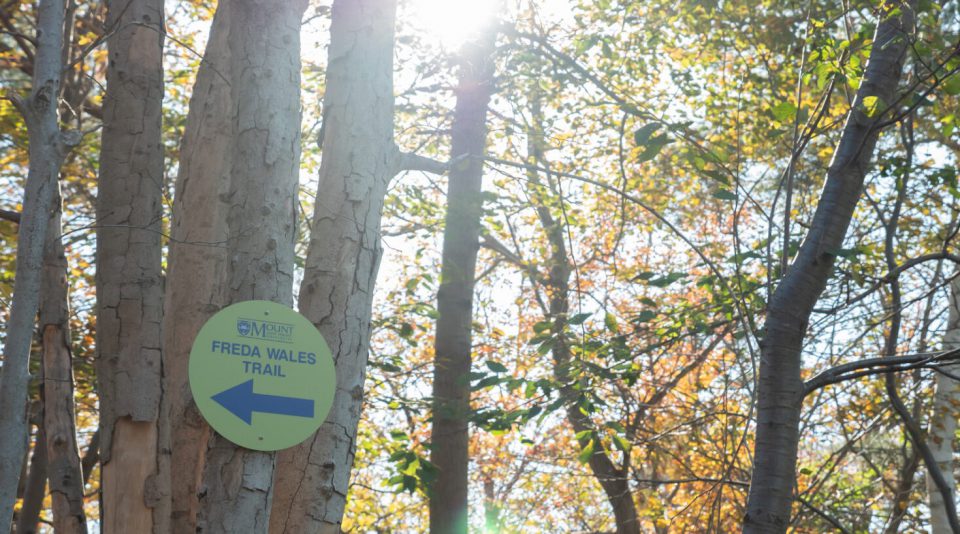 The Freda Wales Trail, with the sign indicating the direction of the trail