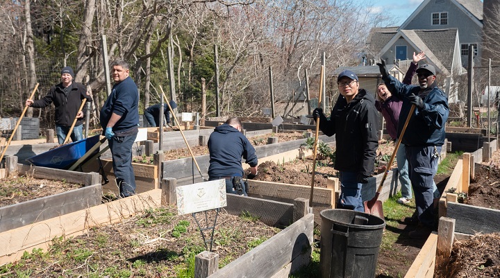 Staff and faculty members working on the community garden on campus