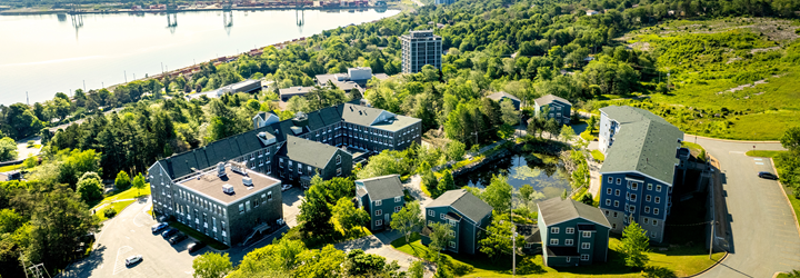 An overhead view of the entire MSVU campus, with the Birches being in the foreground and assisi in the background