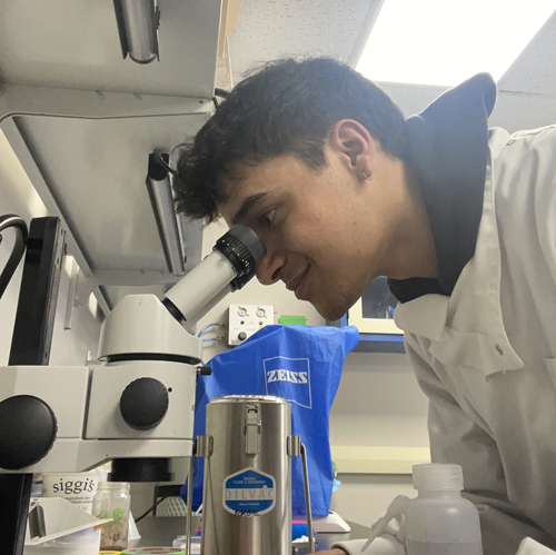 Bryson Thomas, wearing a lab coat and looking through a microscope