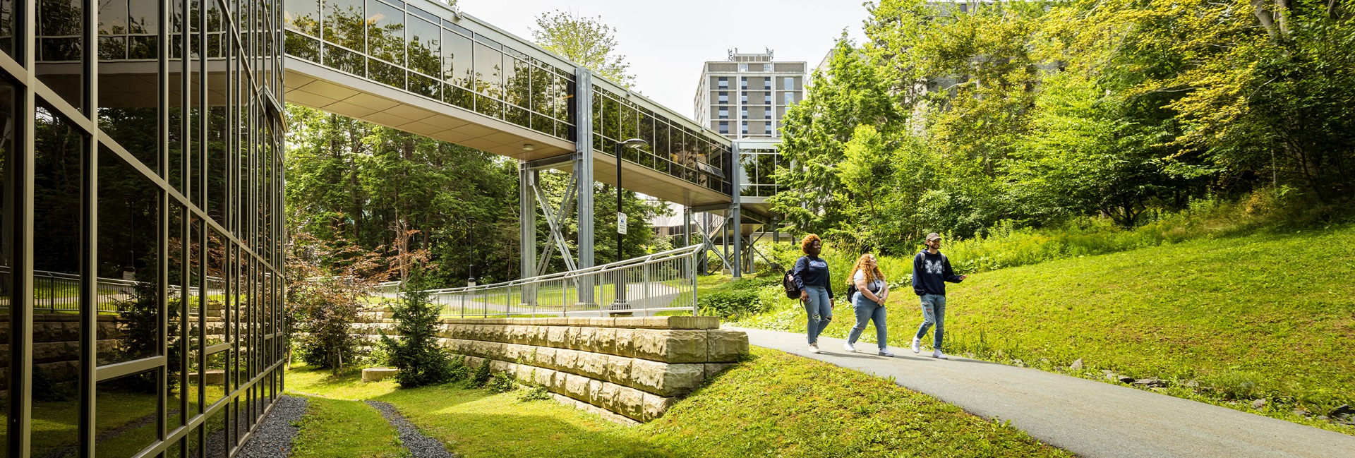 Three students walking outside the McCain centre, on the pathway leading to the library. The Rosaria link is above the students