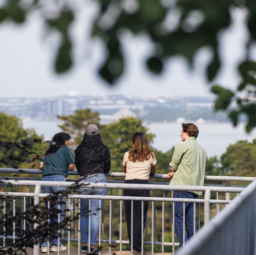 Anti-Harassment & Discrimination and Sexualized Violence Prevention thumbnail image