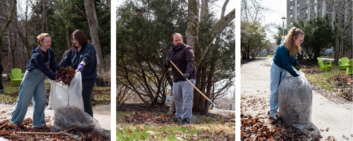 Three photos, on the left and right are students bagging leaves, while the centre photo is a staff member raking leaves to be put in a bag